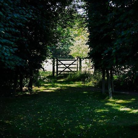 Characterful Yorkshire Cottage, Beautiful Views Luaran gambar